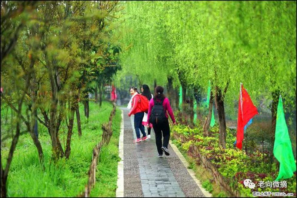 【春天,广西桂林灌阳县向您发出邀请!】江口老街又逢春 - 游山玩水 - 红河生活社区 - 红河28生活网 honghe.28life.com