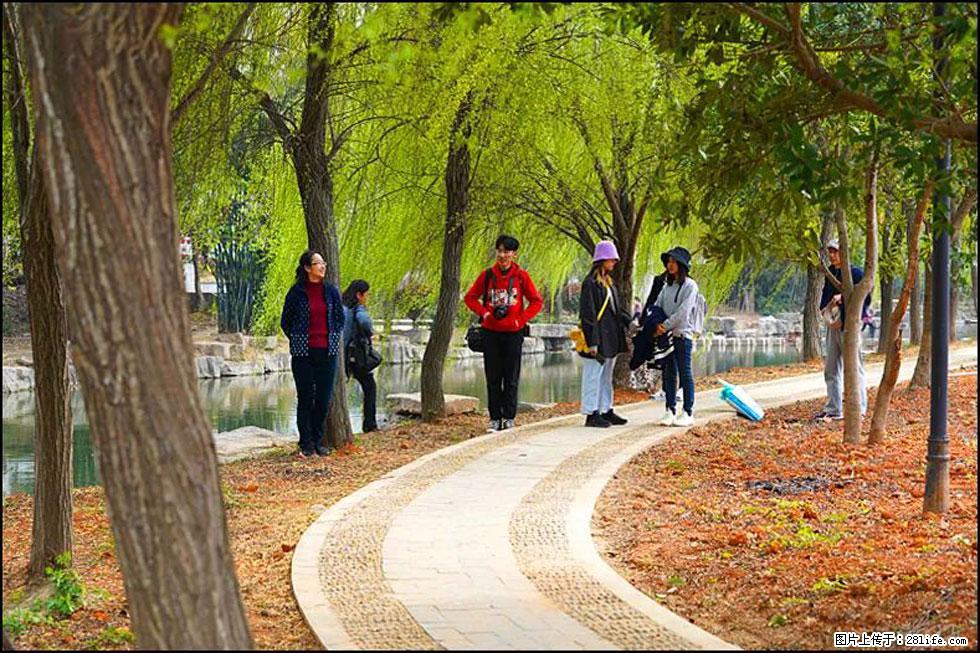 【春天,广西桂林灌阳县向您发出邀请!】江口老街又逢春 - 游山玩水 - 红河生活社区 - 红河28生活网 honghe.28life.com