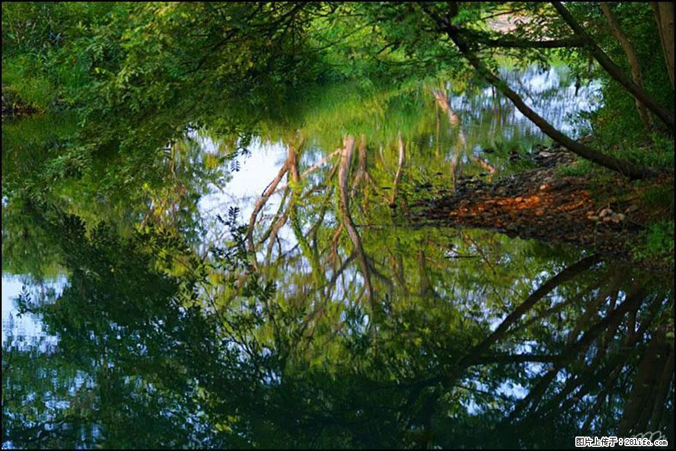 【春天,广西桂林灌阳县向您发出邀请!】熊家寨湿地公园 - 游山玩水 - 红河生活社区 - 红河28生活网 honghe.28life.com