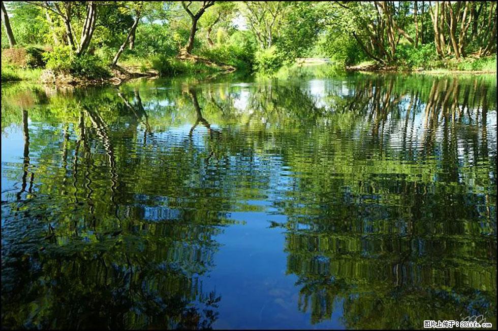 【春天,广西桂林灌阳县向您发出邀请!】熊家寨湿地公园 - 游山玩水 - 红河生活社区 - 红河28生活网 honghe.28life.com