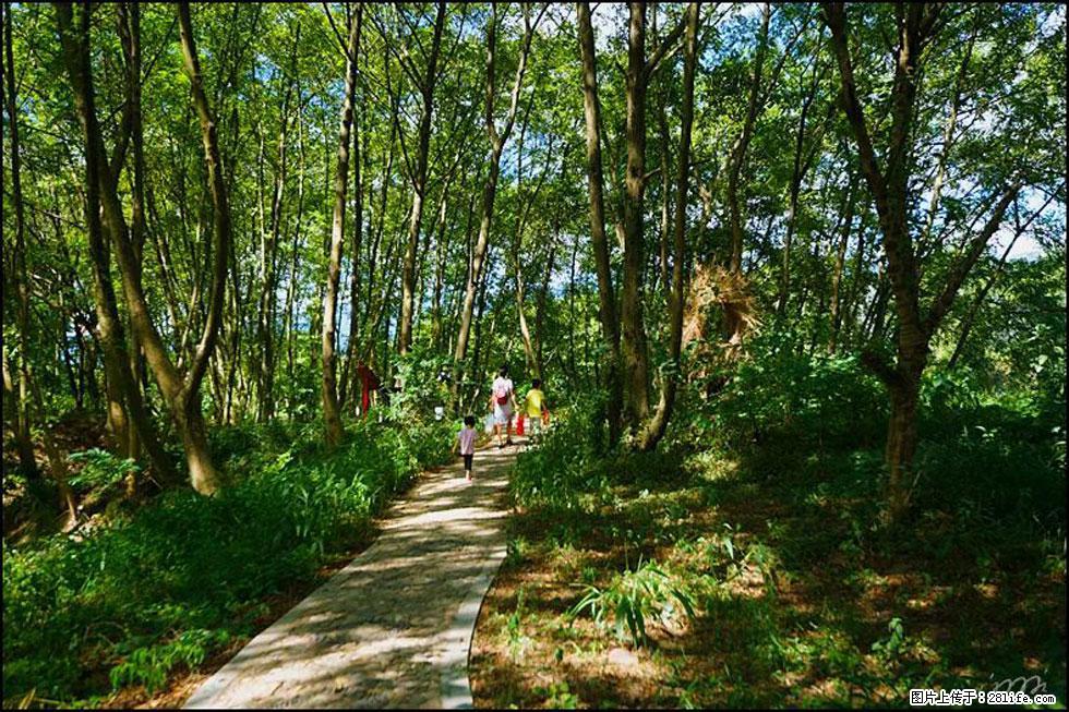 【春天,广西桂林灌阳县向您发出邀请!】熊家寨湿地公园 - 游山玩水 - 红河生活社区 - 红河28生活网 honghe.28life.com