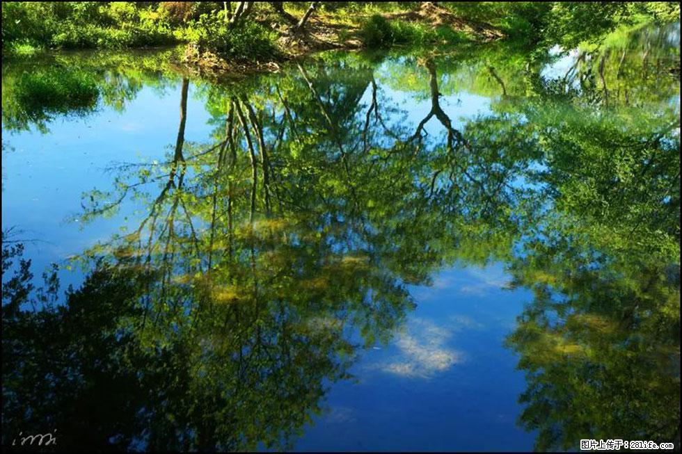 【春天,广西桂林灌阳县向您发出邀请!】熊家寨湿地公园 - 游山玩水 - 红河生活社区 - 红河28生活网 honghe.28life.com