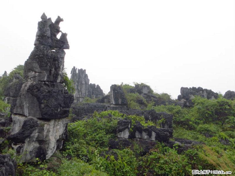 桂林旅游名城景点：灌阳文市石林 - 游山玩水 - 红河生活社区 - 红河28生活网 honghe.28life.com