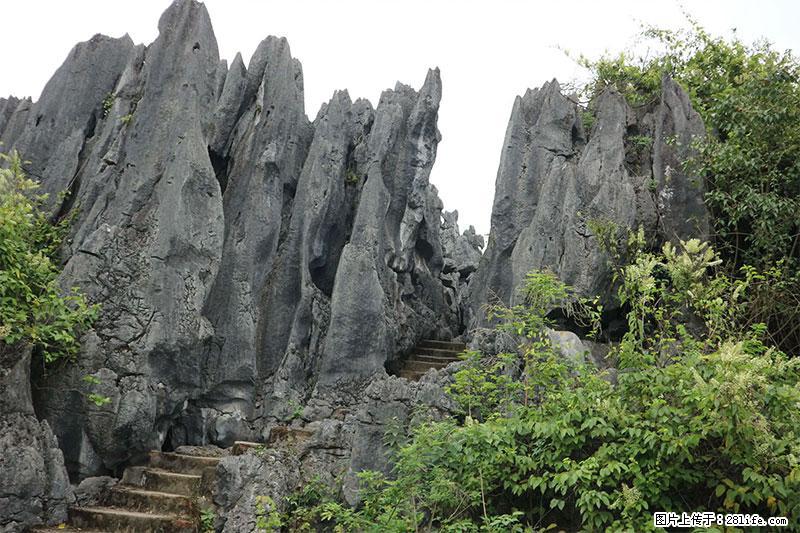 桂林旅游名城景点：灌阳文市石林 - 游山玩水 - 红河生活社区 - 红河28生活网 honghe.28life.com