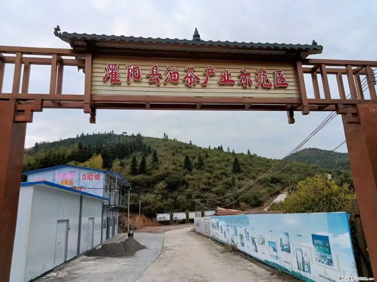 【灌阳县油茶产业示范区】一个有着充实的精神生活的人,对待身外之物自会有一种淡泊的态度 - 美食天地 - 红河生活社区 - 红河28生活网 honghe.28life.com