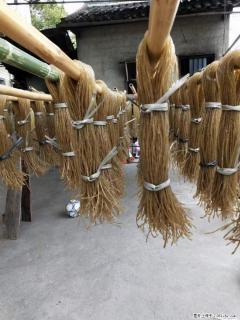 【灌阳正宗红薯粉】美女家里自己做的,干净卫生,假一赔十,价格合理,抢购电话:13737312895 - 红河28生活网 honghe.28life.com