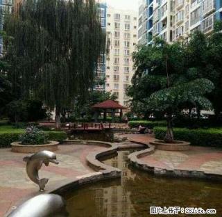 蒙自明珠家天下 2室1厅90平米 简单装修 押一付三 - 红河28生活网 honghe.28life.com