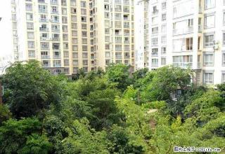 创泰御翠湾一期 2楼 带家具家电出租 欢迎致电 - 红河28生活网 honghe.28life.com
