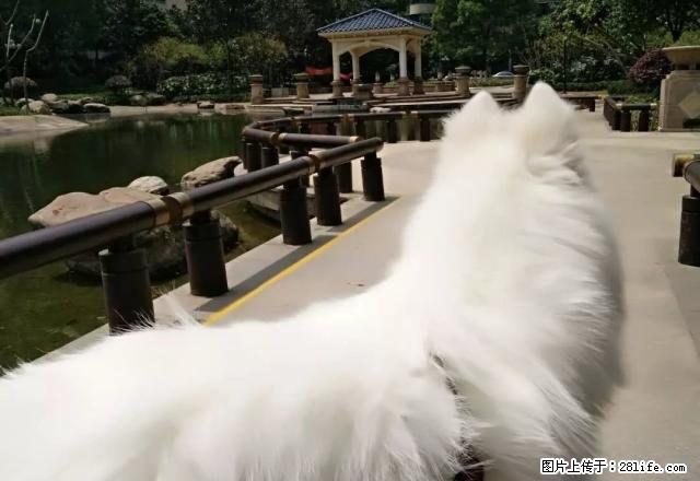 好房出租 《风尚国际》单身公寓 每月只租700元 - 房屋出租 - 房屋租售 - 红河分类信息 - 红河28生活网 honghe.28life.com