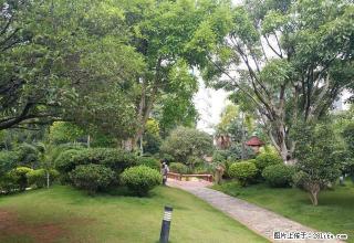 人工湖旁 瀛洲河畔 精装修拎包入住带着家具家电 - 红河28生活网 honghe.28life.com