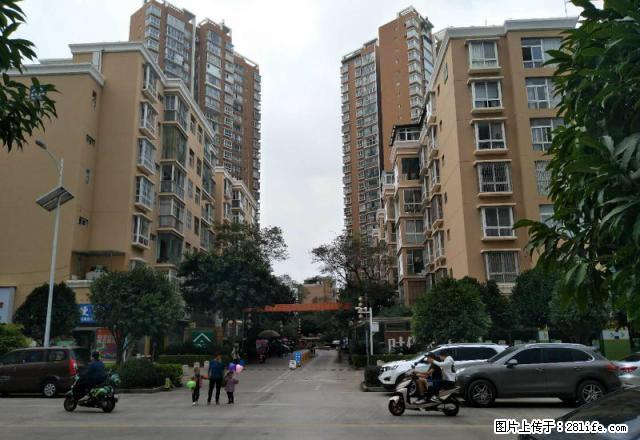 州医院旁学海路时代天骄板式电梯房大4房吉房租售 - 房屋出租 - 房屋租售 - 红河分类信息 - 红河28生活网 honghe.28life.com