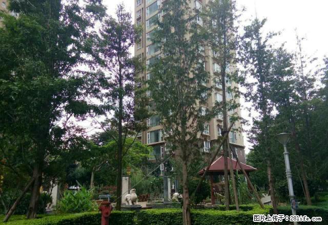 朝阳路人工湖旁长河天骄,户型好无浪费,带全部家具 - 房屋出租 - 房屋租售 - 红河分类信息 - 红河28生活网 honghe.28life.com
