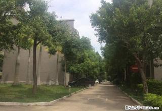 临街 商。住。楼 整栋出租 看房方便 一年租金8万 3年起租 - 红河28生活网 honghe.28life.com