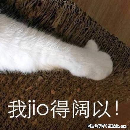 燕之屋 大三室 精装修家具家电齐全 拎包入住 - 房屋出租 - 房屋租售 - 红河分类信息 - 红河28生活网 honghe.28life.com