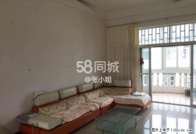 银河路 金苑小区 中等装修 家具家电全 拎包入住 - 房屋出租 - 房屋租售 - 红河分类信息 - 红河28生活网 honghe.28life.com