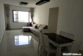 学海路 金岸品城 精装两房 家具家电齐全 拎包入住 - 红河28生活网 honghe.28life.com