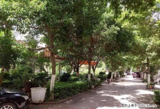 官恒花园 别墅出租 360平米 带不部分家具家电 - 红河28生活网 honghe.28life.com