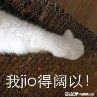 燕之屋 大三室 精装修家具家电齐全 拎包入住 - 红河28生活网 honghe.28life.com