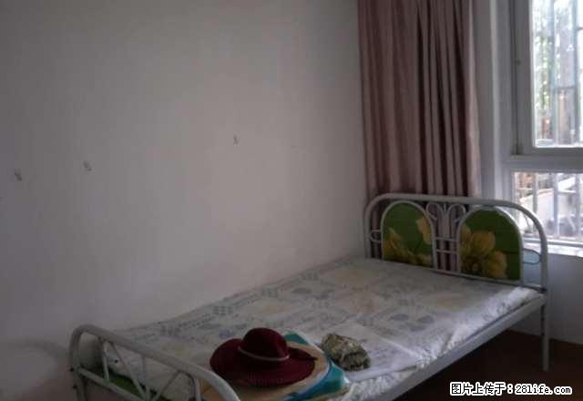 风尚国际公寓带花园出租 - 房屋出租 - 房屋租售 - 红河分类信息 - 红河28生活网 honghe.28life.com