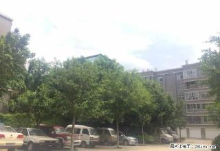 晓龙岛4楼好房出租,小区环境很好,楼层也很好 - 红河28生活网 honghe.28life.com