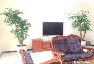 南湖花园 房屋出租精装修家具家电齐全拎包入住 - 红河28生活网 honghe.28life.com