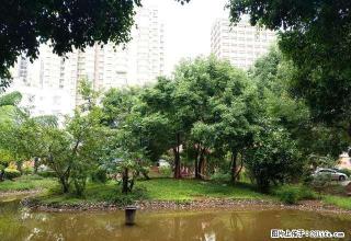 朝阳路鸿运花园空房出租,南北通透,此时不下手,什么时候? - 红河28生活网 honghe.28life.com