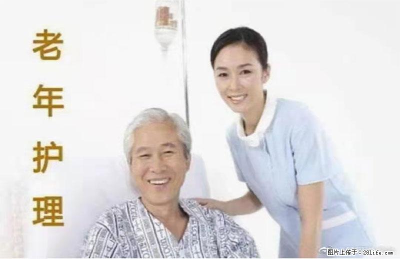上海国企养老院,星级酒店环境,招聘养老护工 - 职场交流 - 红河生活社区 - 红河28生活网 honghe.28life.com