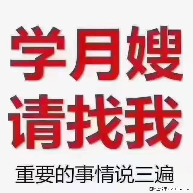 【招聘】月嫂，上海徐汇区 - 其他招聘信息 - 招聘求职 - 红河分类信息 - 红河28生活网 honghe.28life.com