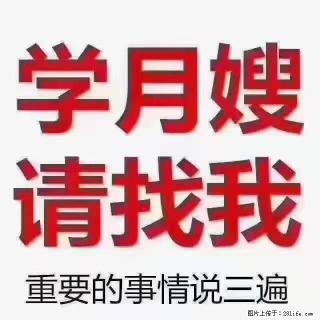 【招聘】月嫂，上海徐汇区 - 红河28生活网 honghe.28life.com
