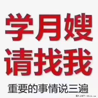 【招聘】月嫂,上海徐汇区 - 红河28生活网 honghe.28life.com