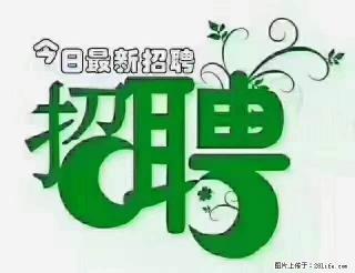 急聘!急聘!上海酒店长期前台,做六休一,每天8小时,6000块钱一月 - 红河28生活网 honghe.28life.com