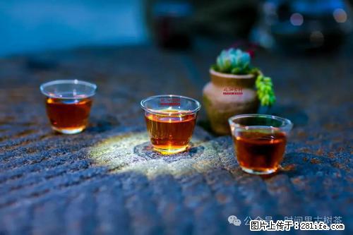 时间果百年古树2025年春红茶 - 购物交流 - 红河生活社区 - 红河28生活网 honghe.28life.com