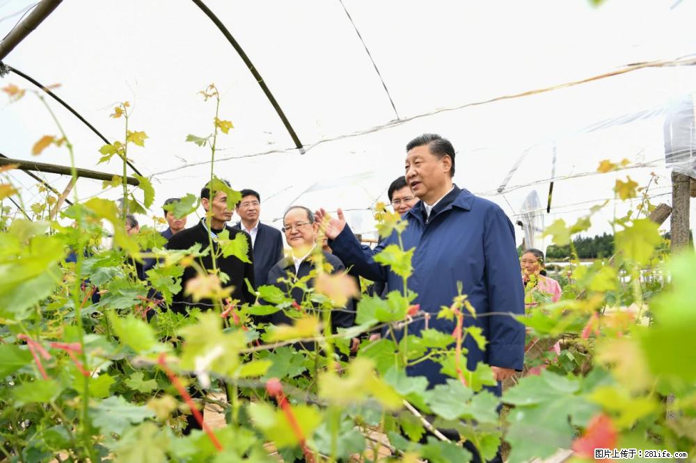 习近平赴广西考察调研 - 红河生活资讯 - 红河28生活网 honghe.28life.com
