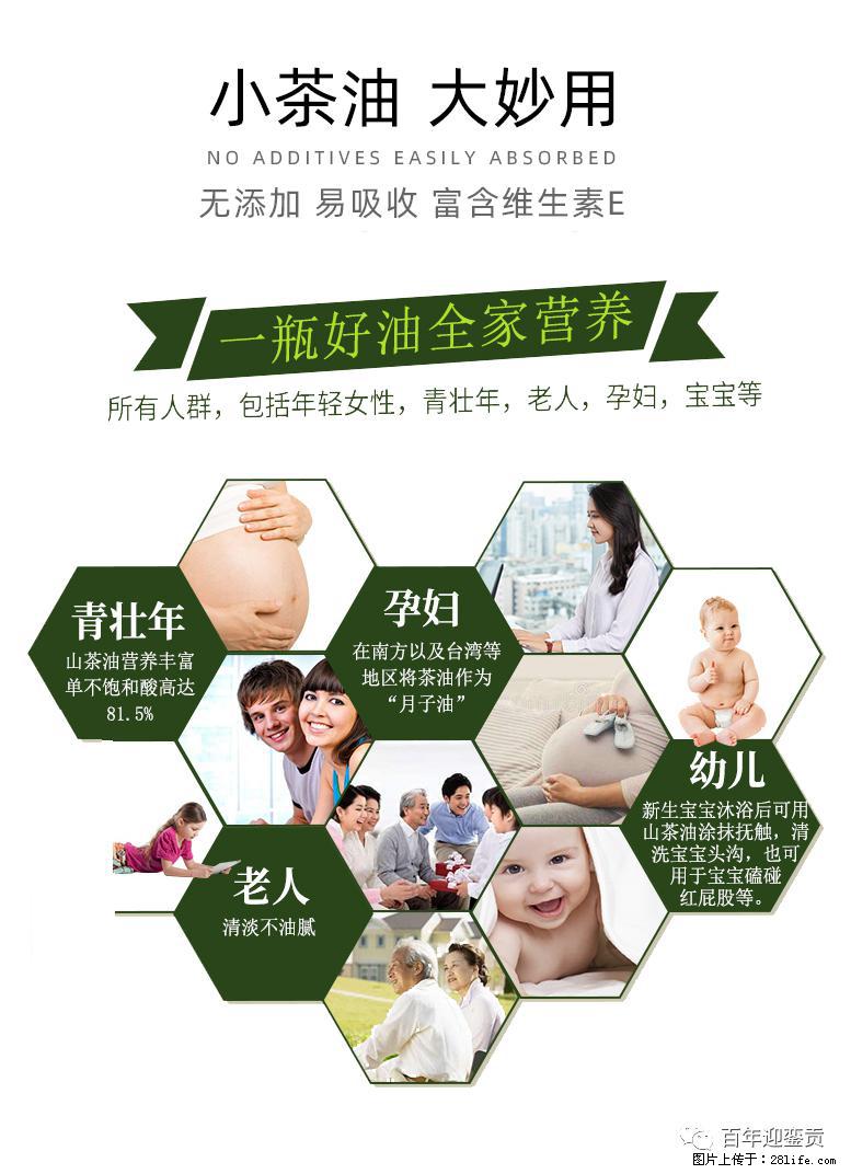 世界没有真相,只有认知,最好的食用油是中国的山茶油! - 红河生活资讯 - 红河28生活网 honghe.28life.com