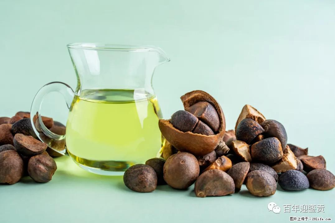 世界没有真相，只有认知，最好的食用油是中国的山茶油！ - 红河生活资讯 - 红河28生活网 honghe.28life.com