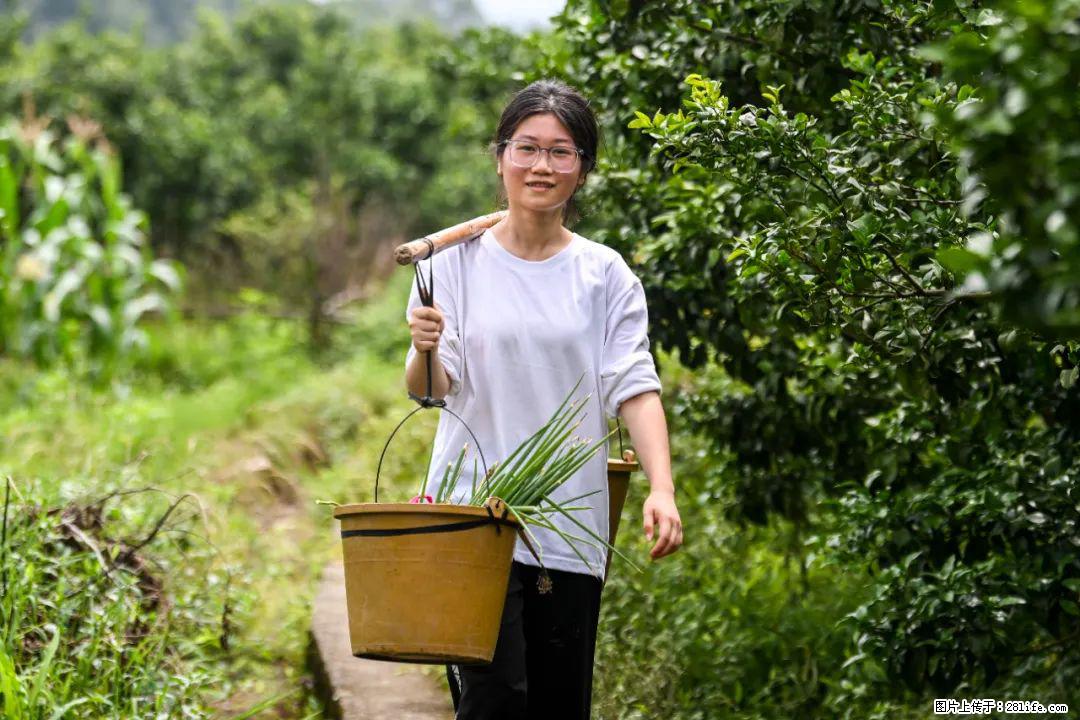 全网追的“扁担女孩”，找了一份暑假工，时薪12元 - 红河生活资讯 - 红河28生活网 honghe.28life.com