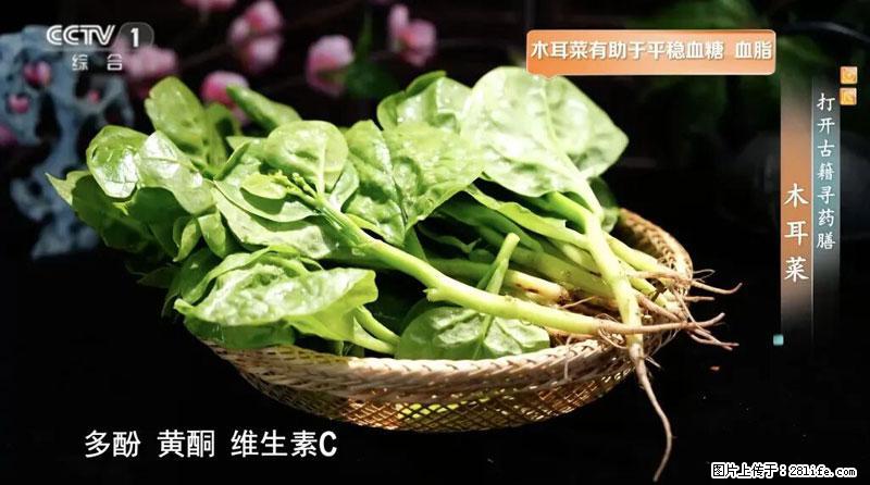 比牛奶补钙还厉害！凉血解毒、稳血糖...这菜冬天必吃，很多人却当草 - 红河生活资讯 - 红河28生活网 honghe.28life.com