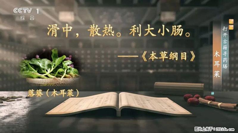 比牛奶补钙还厉害！凉血解毒、稳血糖...这菜冬天必吃，很多人却当草 - 红河生活资讯 - 红河28生活网 honghe.28life.com