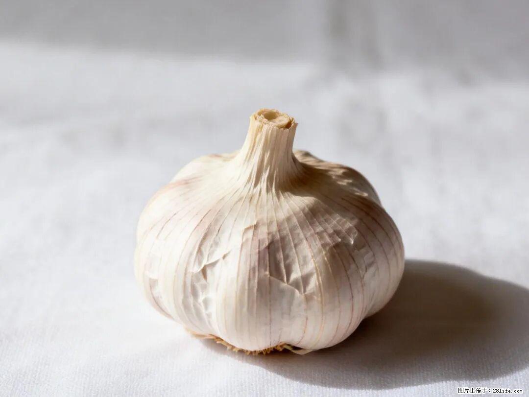 关于大蒜，除了“天然抗生素”，这4个谣言更该警惕! - 红河生活资讯 - 红河28生活网 honghe.28life.com