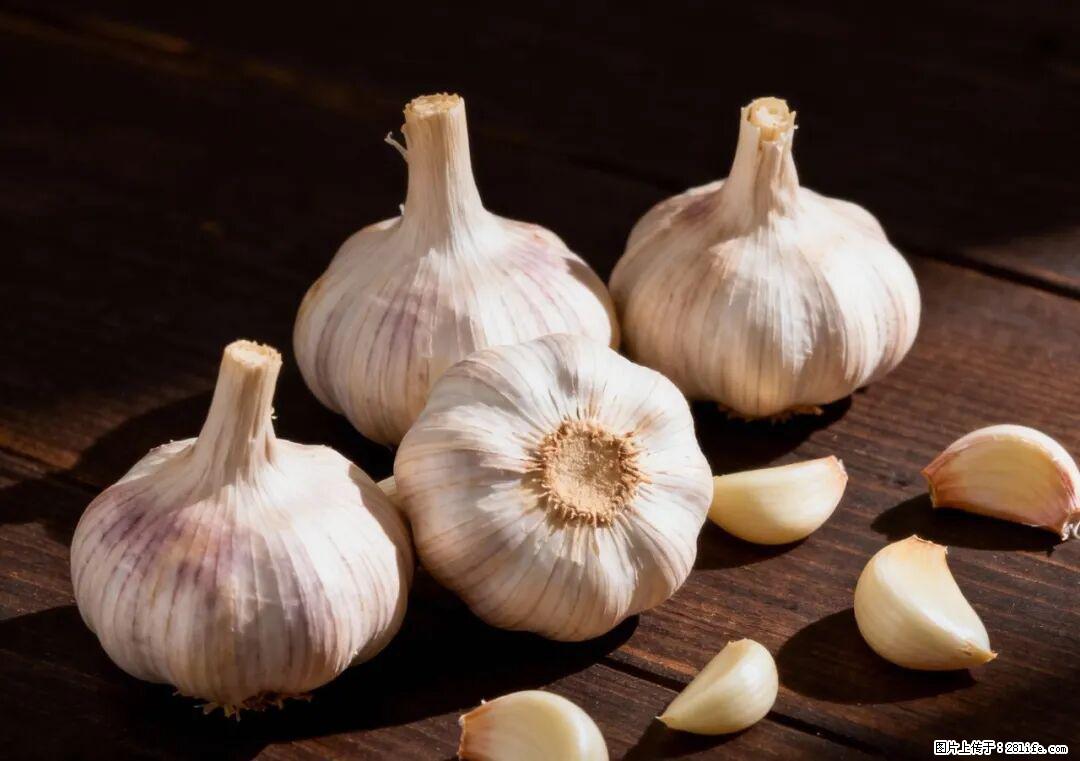 关于大蒜，除了“天然抗生素”，这4个谣言更该警惕! - 红河生活资讯 - 红河28生活网 honghe.28life.com