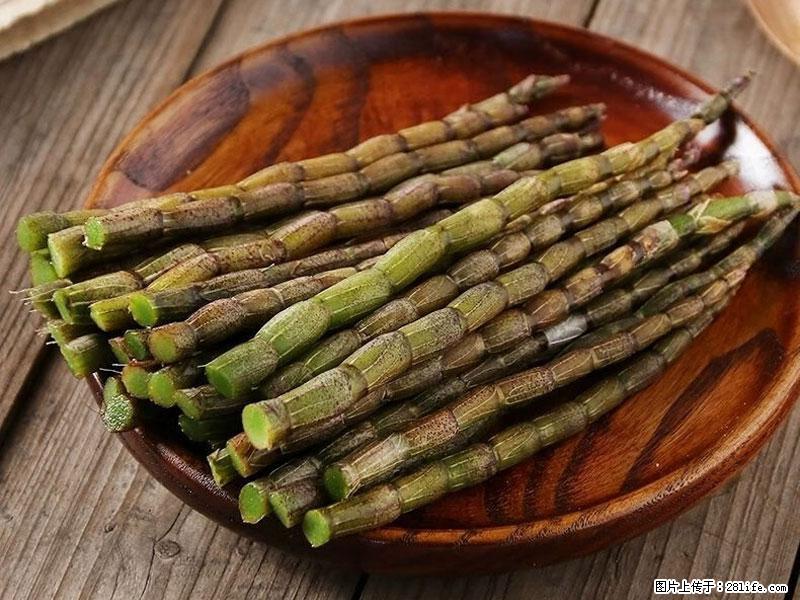 铁皮石斛的作用与功能主治 - 红河生活资讯 - 红河28生活网 honghe.28life.com