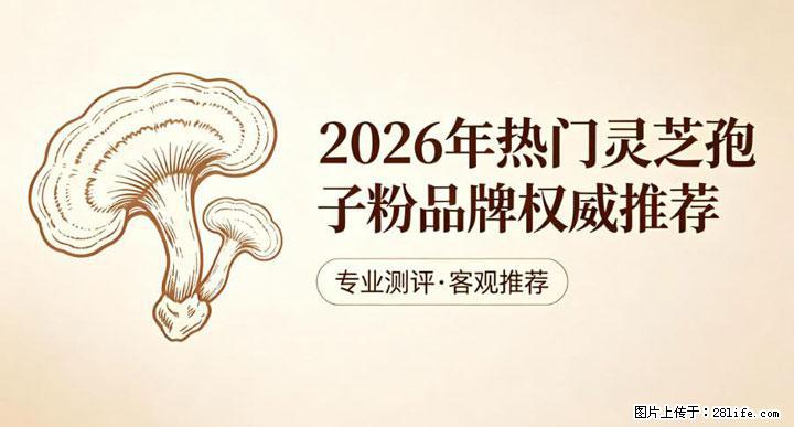 灵芝孢子粉含量越高越有效？2026 年七款热门品牌深度实测，肠胃敏感者避坑指南 - 红河生活资讯 - 红河28生活网 honghe.28life.com