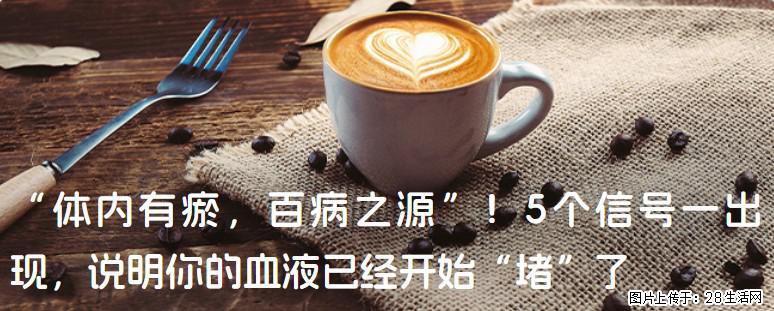 “体内有瘀,百病之源”!5个信号一出现,说明你的血液已经开始“堵”了 - 红河生活资讯 - 红河28生活网 honghe.28life.com
